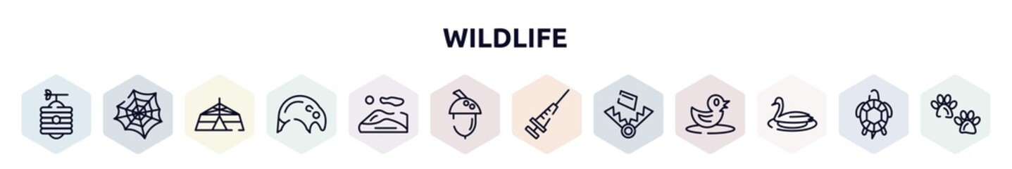 wildlife outline icons set. thin line icons such as beehive, spider web, jaima tent, tapir, dunes, acorn, vaccine, trap, swan icon.