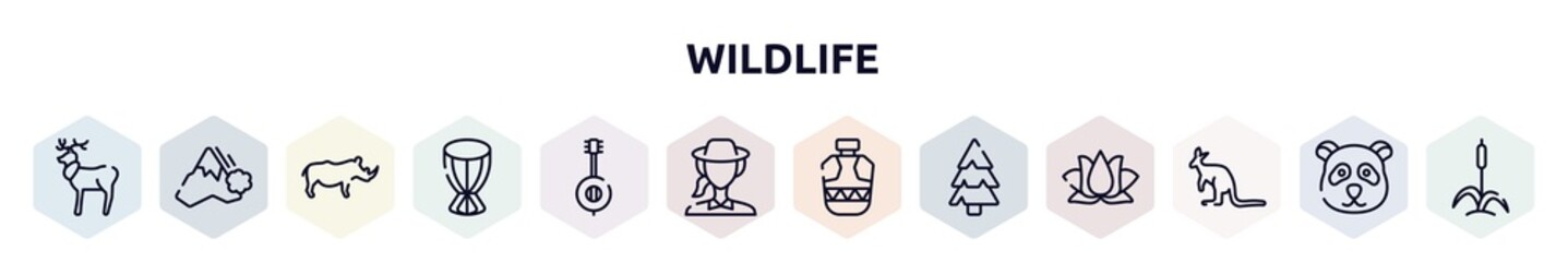 wildlife outline icons set. thin line icons such as reindeer, avalanche, rhino, african drum, banjo, biologist, canteen, pine, kangaroo icon.