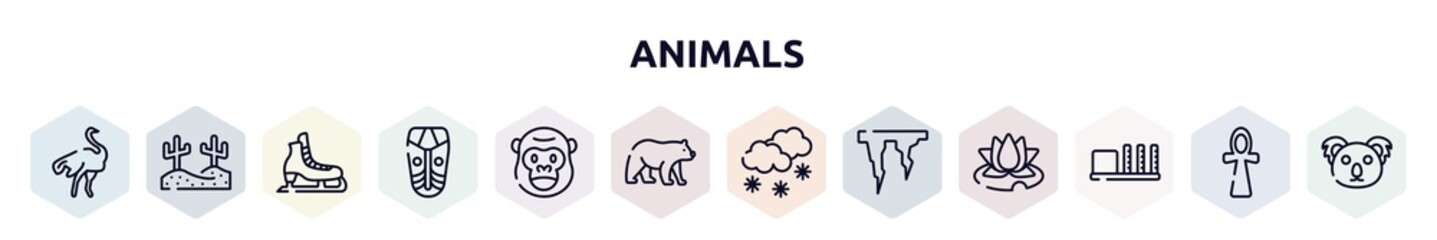 animals outline icons set. thin line icons such as ostrich, desert, ice skate, african mask, gorilla, carnivore, snowy, icicle, apartheid museum icon.