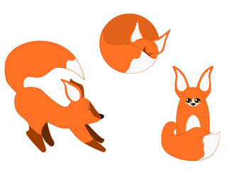 Vector illustration pet fun fox 