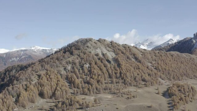 Magnifique colline de sapins aux couleurs d'automnes dans les alpes au mythique lac de Serre Pon&ccedil;on. Tourn&eacute; au DJI Mavic 2 Pro, ISO 100 F 2.8 S1/50 24 ips DLOG 