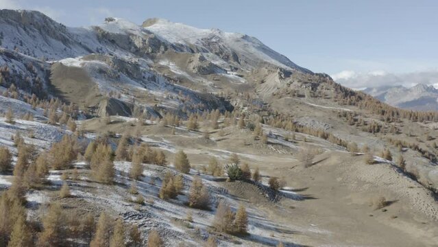 Magnifique colline de sapins aux couleurs d'automnes dans les alpes au mythique lac de Serre Pon&ccedil;on. Tourn&eacute; au DJI Mavic 2 Pro, ISO 100 F 2.8 S1/50 24 ips DLOG 