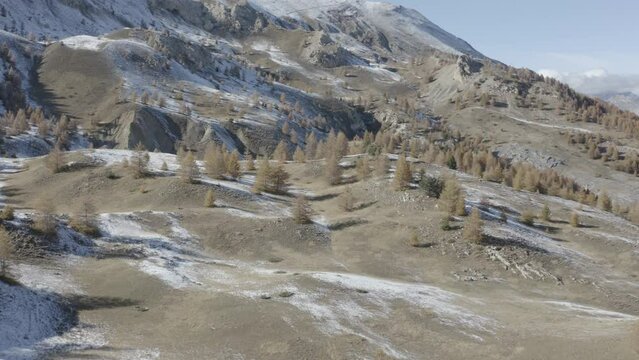 Magnifique colline de sapins aux couleurs d'automnes dans les alpes au mythique lac de Serre Pon&ccedil;on. Tourn&eacute; au DJI Mavic 2 Pro, ISO 100 F 2.8 S1/50 24 ips DLOG 