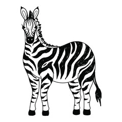 Obraz premium A hand-drawn sketch of a zebra