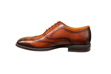 Leather men's shoes. Patent leather brown boot. Shoe cleaning. Classic style. Polishing shoes. An...