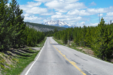 Fototapeta na wymiar Road leading through the forest of Yellowstone National Park, Wyoming, USA, with trees all around and dramatic snowy peak in the far back. Infinity point road in the wilderness.