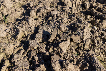 soil in an agricultural field that is being prepared to receive a new crop of plants