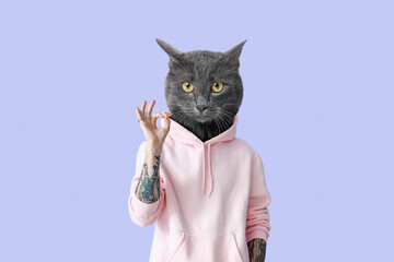 Funny grey cat with human body showing OK on lilac background