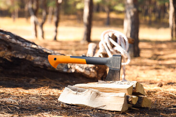 Tourist's axe with firewood in forest