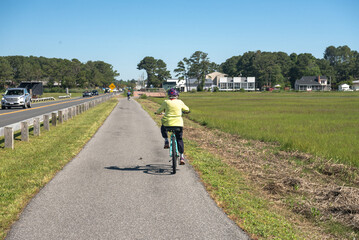 fenced bike path along the road at Assateague Island National Park