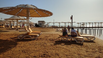 lounge chairs on the beach