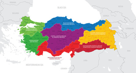 Fototapeta premium Map of the Turkey with administrative divisions of the country into Districts and Provinces, detailed vector illustration