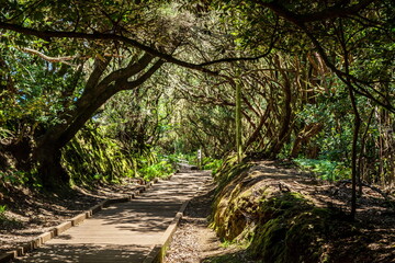 View on Tenerife island from Anaga Rural Park road.