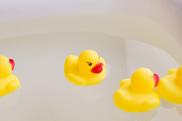 many toy ducks swim in the water.