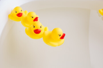 rubber ducks swim one after another in the water.
