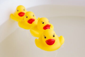 rubber ducks swim one after another in the water.