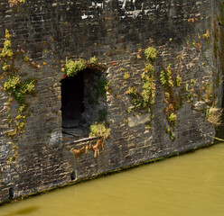 Hole in a medieval wall by the river