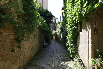 Fototapeta na wymiar Rue typique, village de Semur en Auxois, département de la Côte d'Or, France