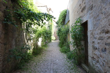 Rue typique, village de Semur en Auxois, département de la Côte d'Or, France