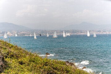 Voiliers en mer lors d'une régate sur la Côte d'Azur à Antibes