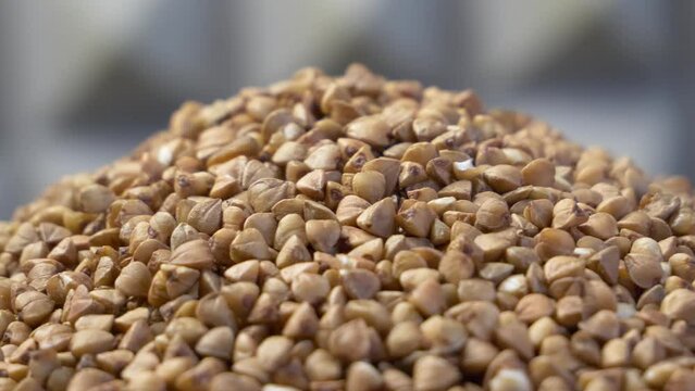 Roasted buckwheat grains. Macro. Rotation. Buckwheat cereal close up