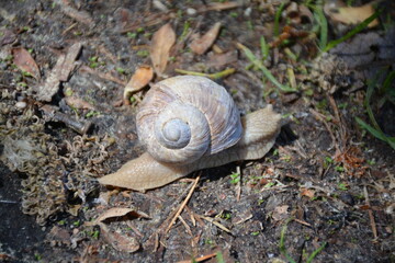 one of the summer days