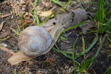 one of the summer days