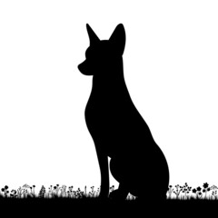 dog sitting on grass silhouette on white background, isolated