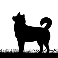 dog on grass silhouette on white background, isolated, vector