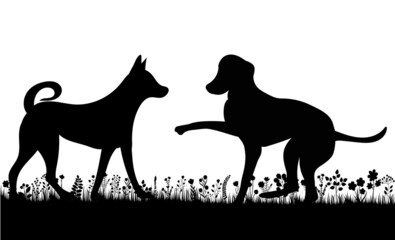 dogs playing on grass silhouette on white background, isolated, vector