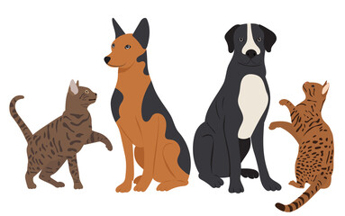 cats and dogs in flat design, isolated vector