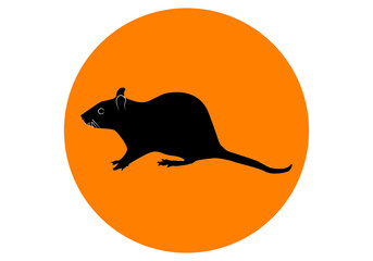 Ratas, Silueta negra de rata sobre círculo naranja