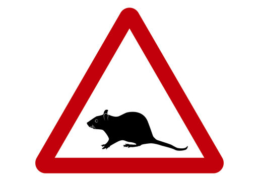 Peligro ratas. Se&ntilde;al de peligro con la silueta negra de una rata