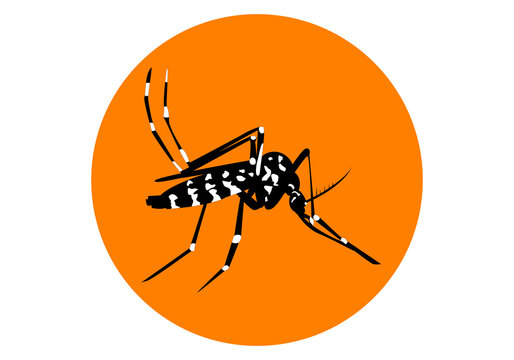 Mosquito tigre en blanco y negro sobre c&iacute;rculo naranja