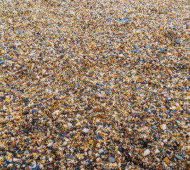 Pebble Slate Beach Gravel