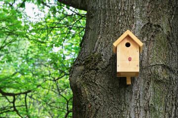 Bird house on a tree. Wooden birdhouse, nesting box for songbirds in park.