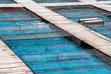 aquaculture installations with fish cages on a fish farm