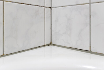 Mould in a bathroom