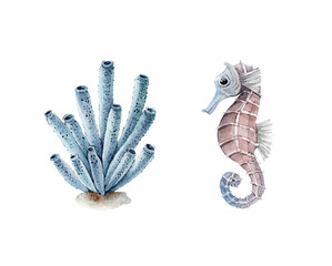 set of watercolor illustrations in nautical style bush with corals and seahorse. hand painted on a white background.