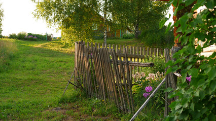 Summer landscape with russian village. Vologda region