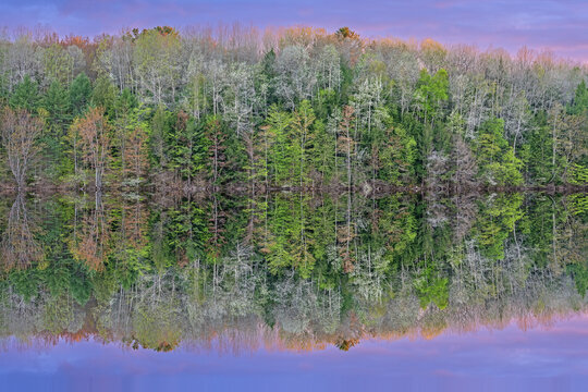 Spring landscape at sunset of the shoreline of Moccasin Lake with mirrored reflections in calm water, Hiawatha National Forest, Michigan's Upper Peninsula, USA © Dean Pennala