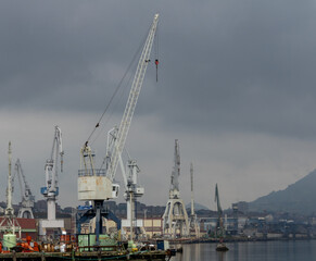 Fototapeta na wymiar cranes and ships near the Basque estuary ready for industry with the estuary calm under cloudy skies on a spring day