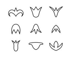 vector set of decorative floral ethnic elements