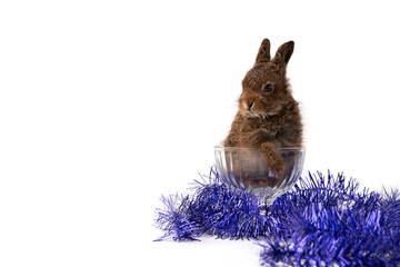 Symbolic New Year's dessert. Cute bunny in a glass cream bowl surrounded by tinsel on a white...