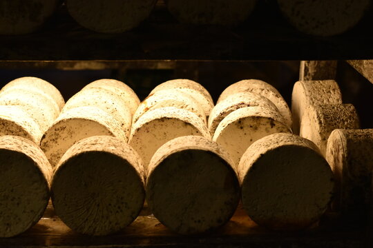 meules de roquefort dans la cave d'affinage 
