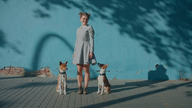 Young confident pretty cynologist, breeder in cute dress on simple blue background stand on urban street with well behaved basenji pet on leash. Woman smile, laugh with smart dogs do tricks for treats