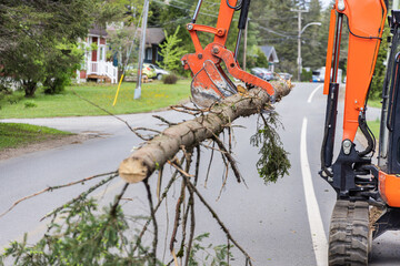 Side view as a hydraulic digger transports a tree trunk on a suburban road, clear up after storm...