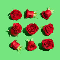 Neatly arranged pattern made of red roses on green background. Creative layout, minimal flowers composition.