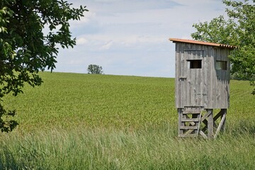 Jägerstand auf einer Wiese
