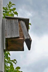 Nistkasten - aufgeplatzt - kaputt